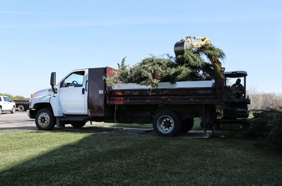 large white contractor truck transporting branches